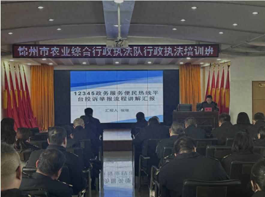 锦州农业执法队如何应对投诉案件？揭秘决胜之年的执法新策略