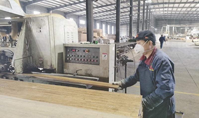 竹材科技大突破！240×600×7300毫米集成竹材如何打造建筑新未来？  第1张