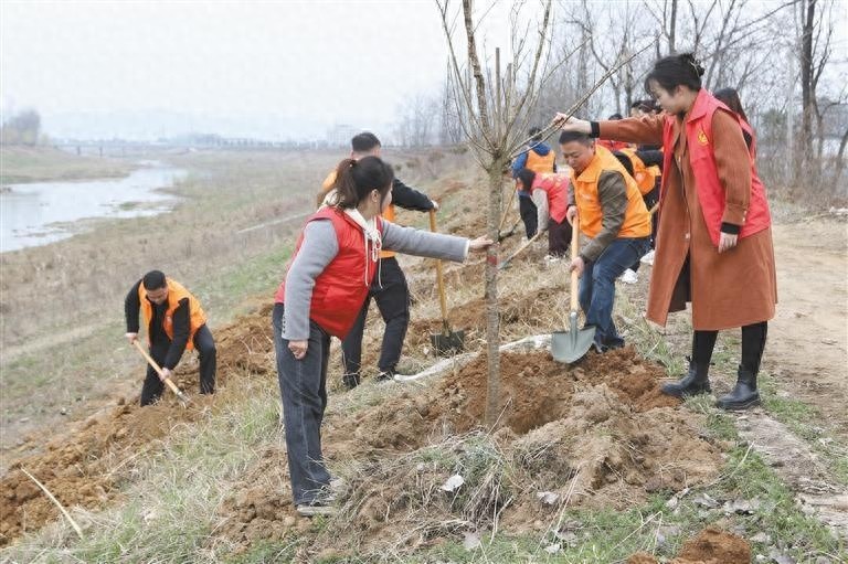 你知道2025年汉中市全民义务植树活动竟然种下了1100株苗木吗？
