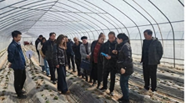 华亭市草莓种植技术培训会，70余农户现场学习，你的草莓园也能如此高效吗？