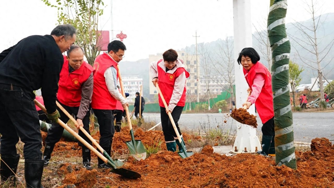 灌阳县2025年植树造林大行动，你参与了吗？一起为美丽灌阳添新绿  第1张