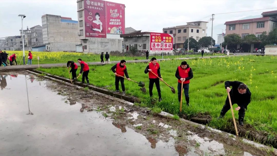 灌阳县2025年植树造林大行动，你参与了吗？一起为美丽灌阳添新绿  第3张