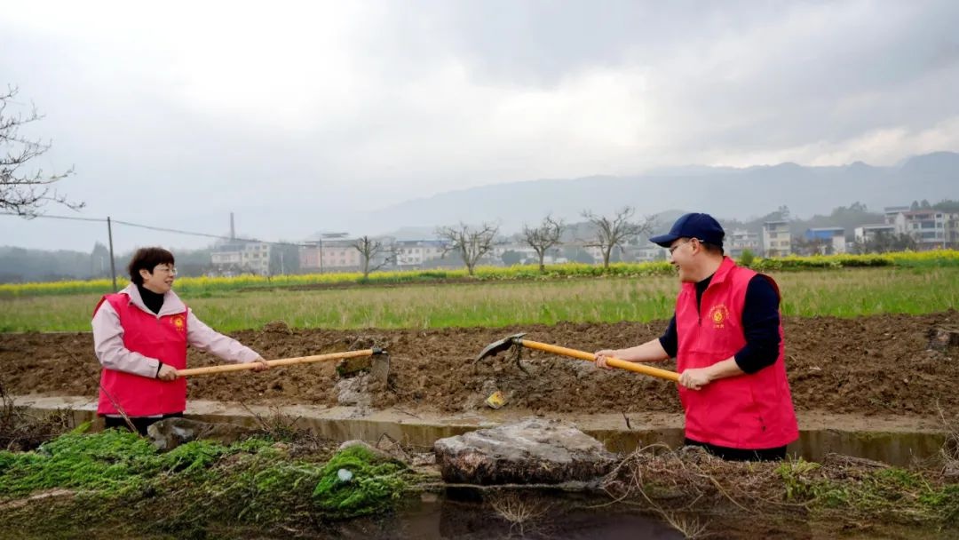 灌阳县2025年植树造林大行动，你参与了吗？一起为美丽灌阳添新绿  第4张