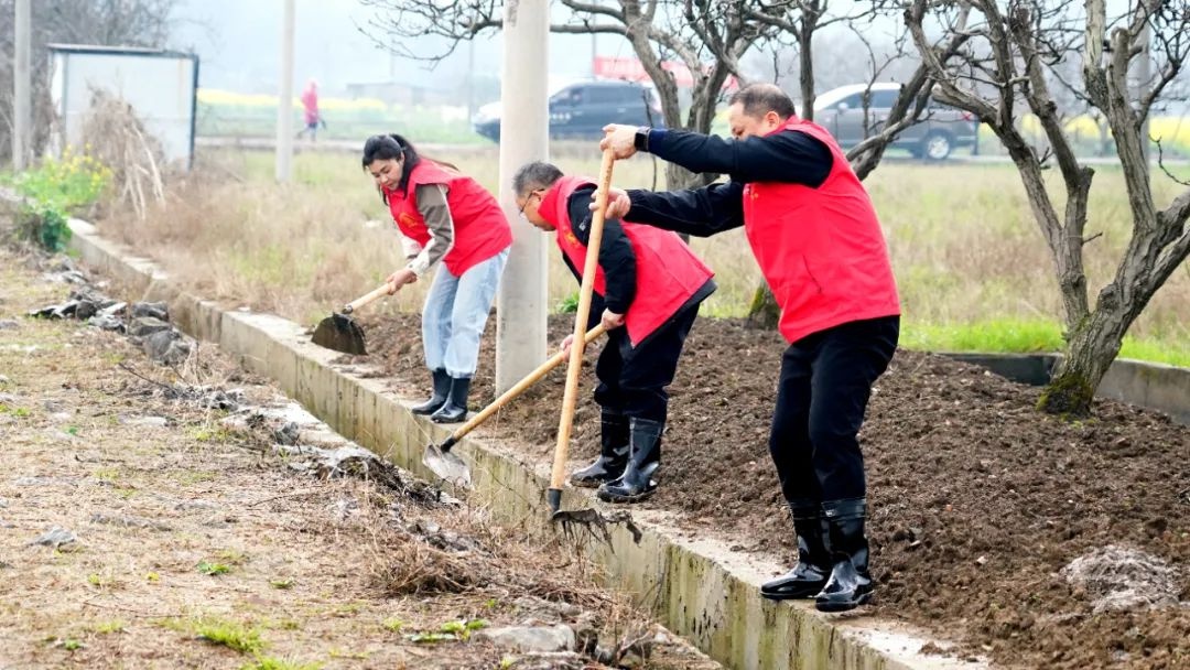 灌阳县2025年植树造林大行动，你参与了吗？一起为美丽灌阳添新绿  第5张