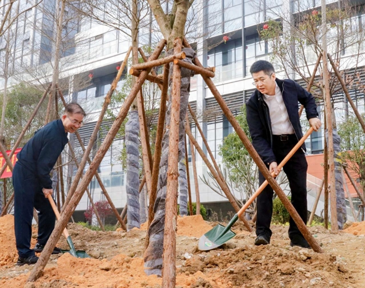 119株新绿落户泉州数字经济产业园，你猜它们将带来怎样的生态奇迹？