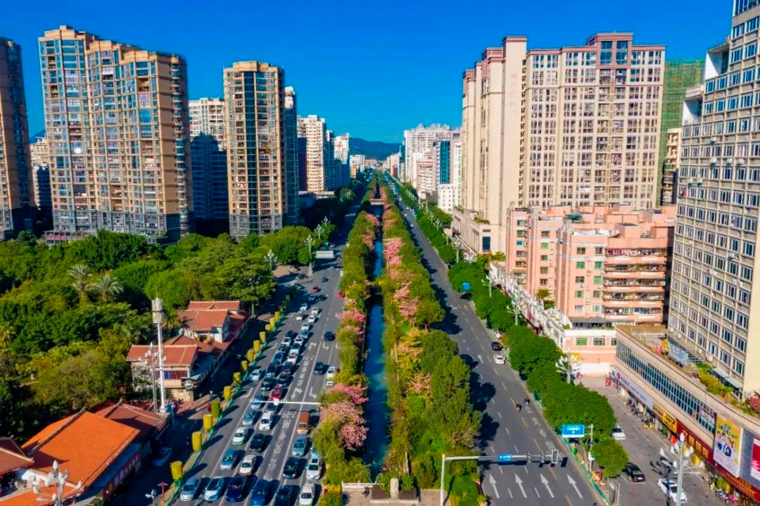 119株新绿落户泉州数字经济产业园，你猜它们将带来怎样的生态奇迹？  第2张
