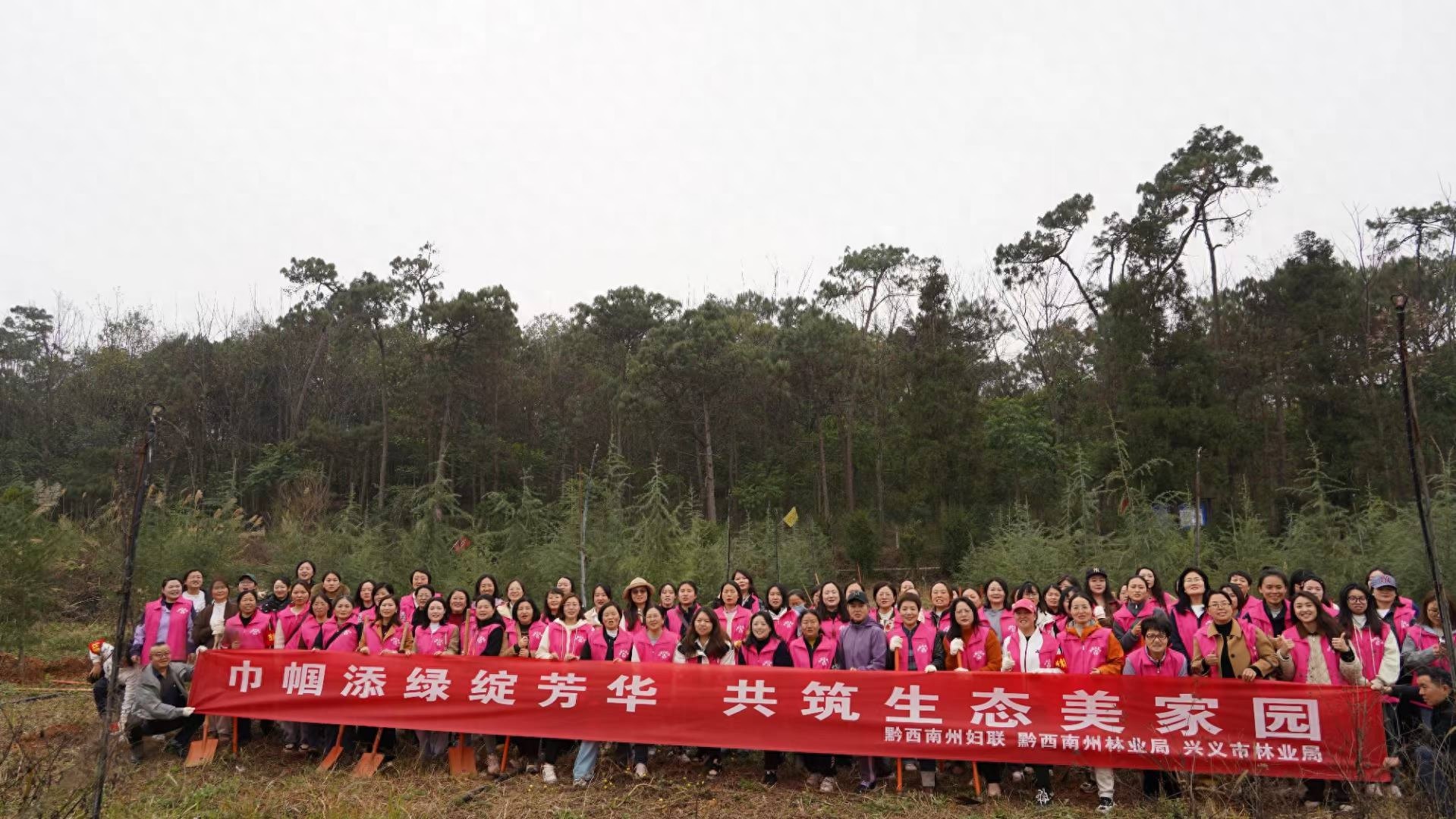 巾帼力量如何为生态美家园添绿？黔西南州妇女植树活动大揭秘