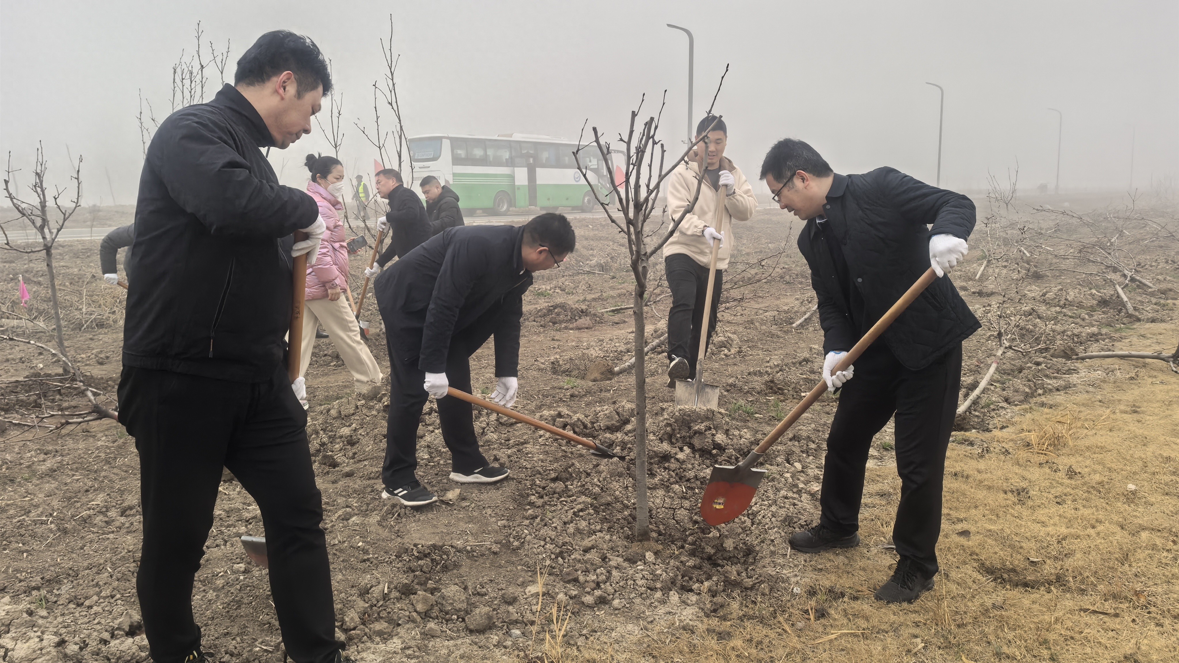 你猜300株新绿如何让港城焕发生机？住建局植树节大行动  第1张