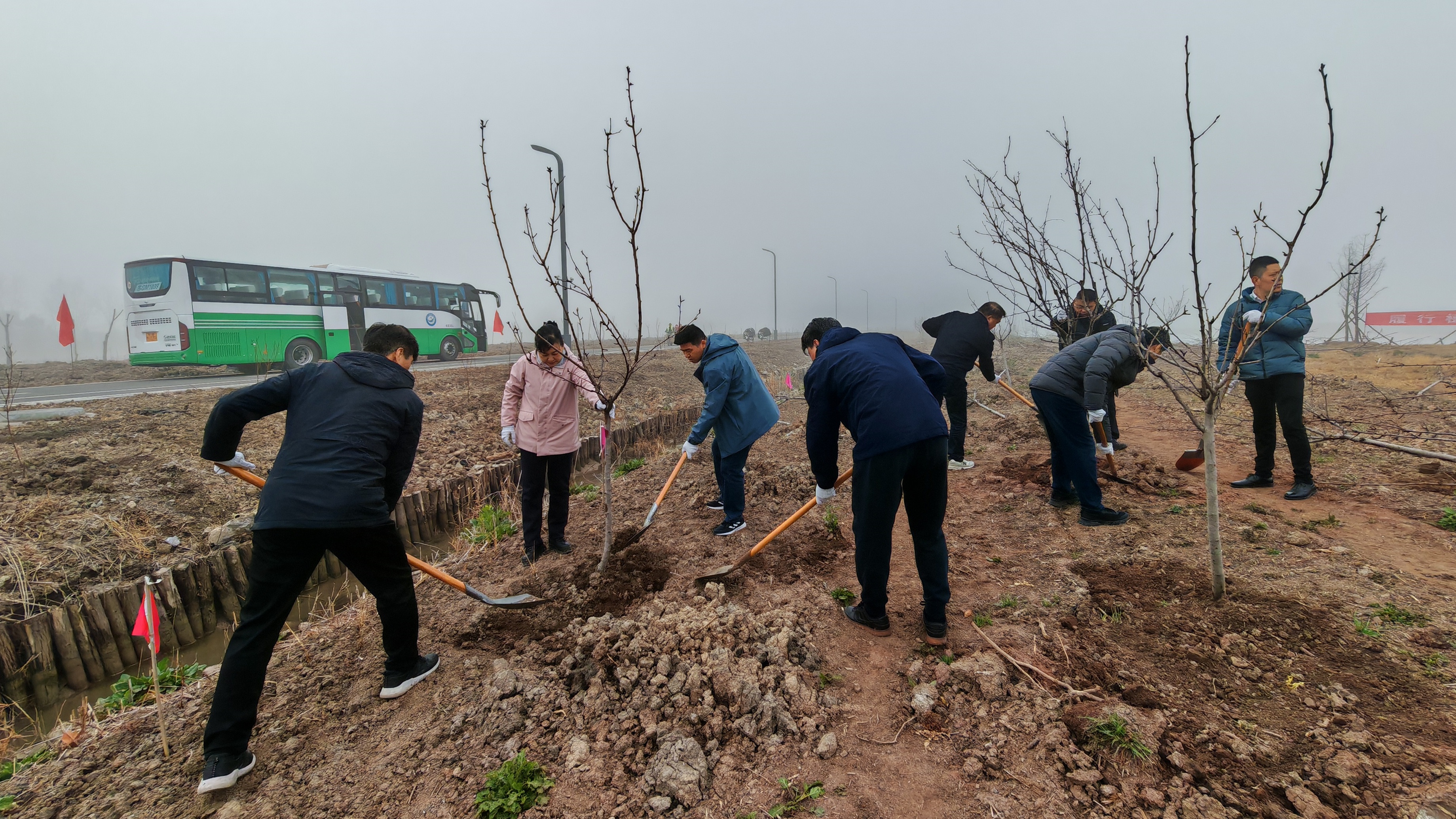 你猜300株新绿如何让港城焕发生机？住建局植树节大行动  第2张