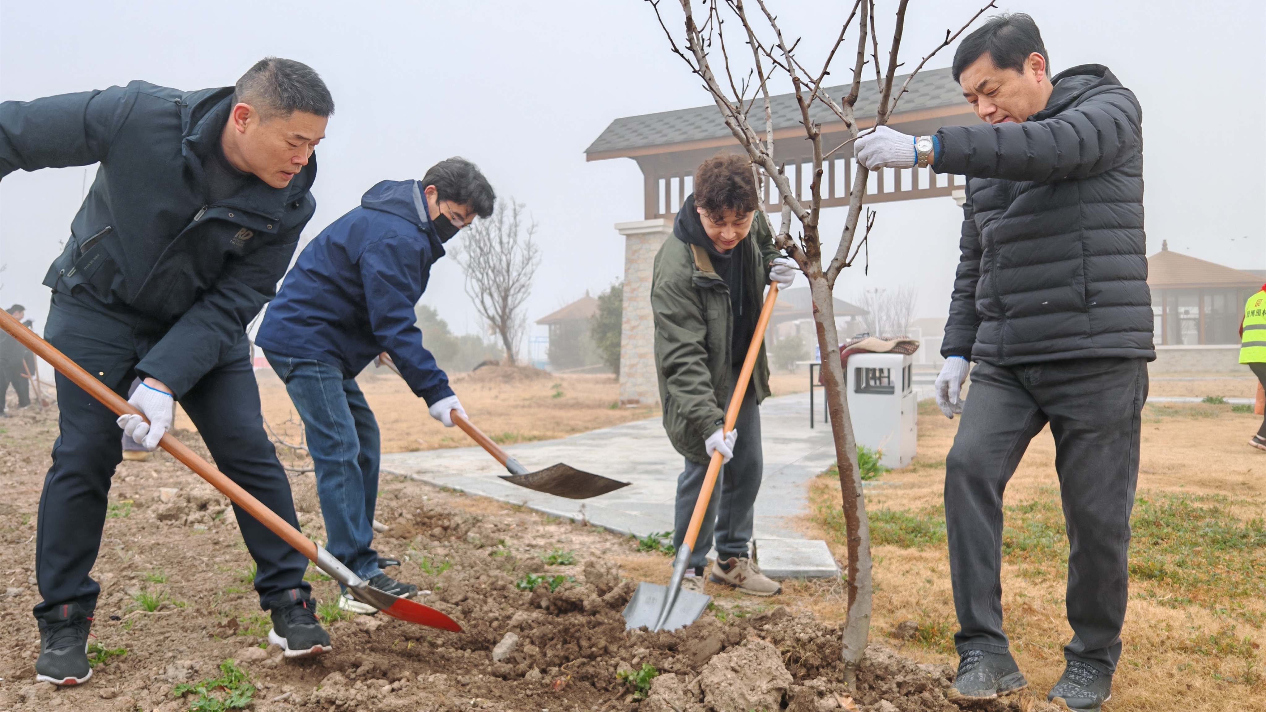 你猜300株新绿如何让港城焕发生机？住建局植树节大行动  第3张