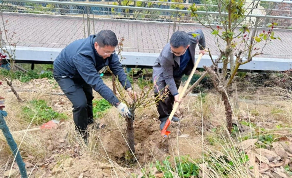 十堰11.1公里健康步道如何成为全国生态治理典范？揭秘其独特魅力