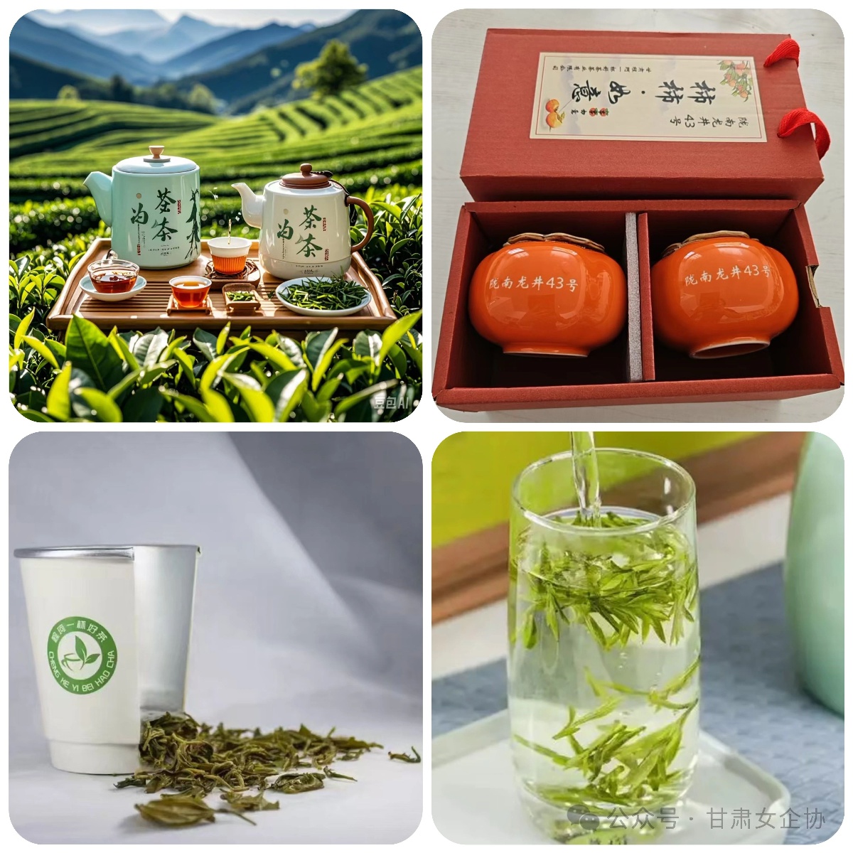 你知道吗？陇南绿茶背后的匠心工艺，竟然是这样炼成的  第3张