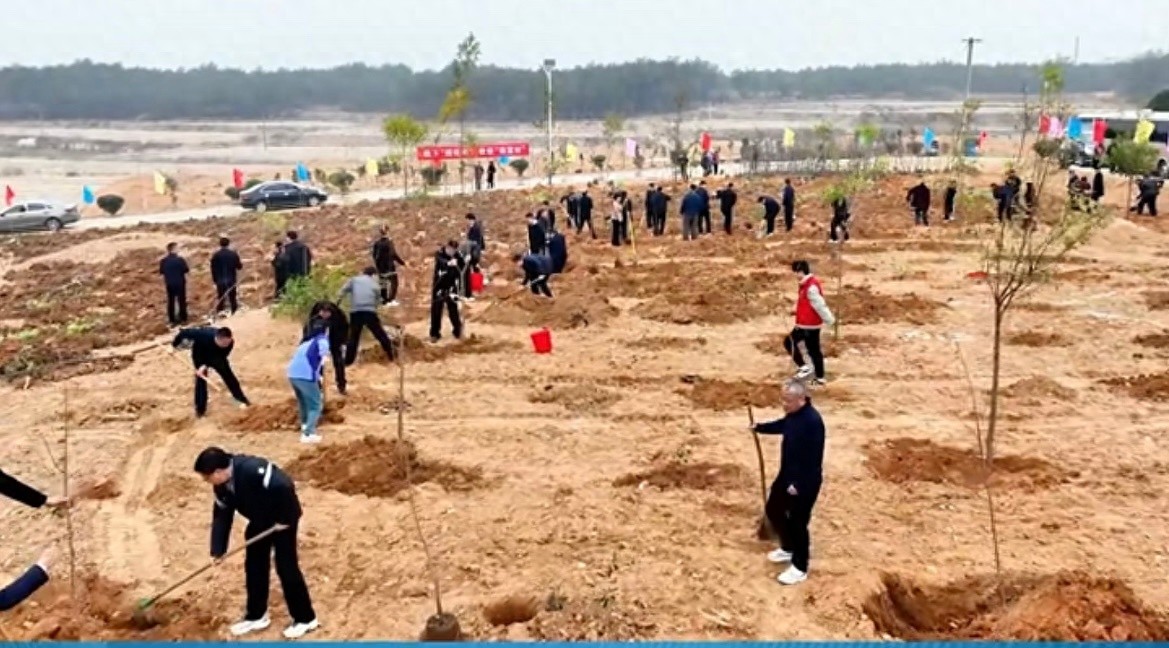 潜山市掀起春季造林热潮，你参与了吗？  第1张