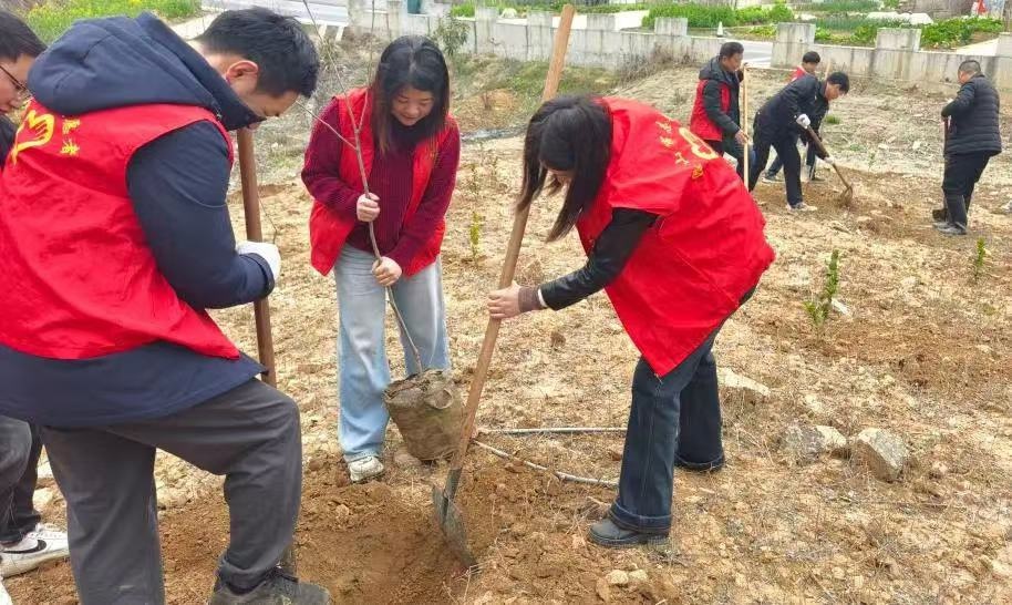 潜山市掀起春季造林热潮，你参与了吗？  第2张