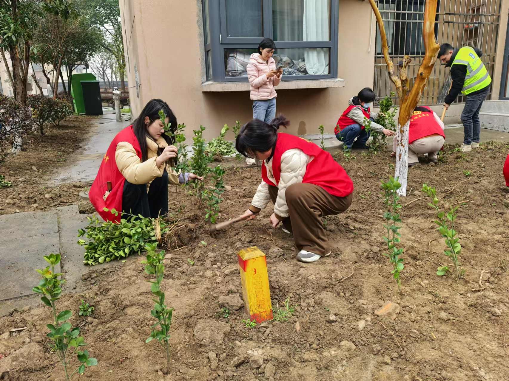 潜山市掀起春季造林热潮，你参与了吗？  第5张