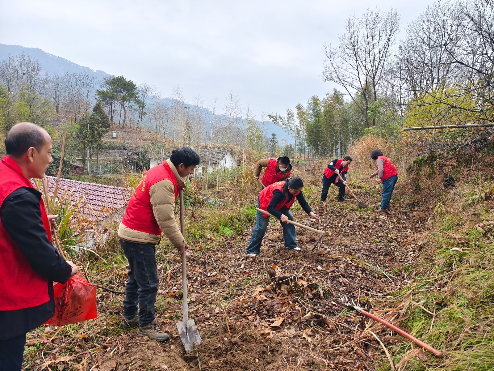 潜山市掀起春季造林热潮，你参与了吗？  第6张