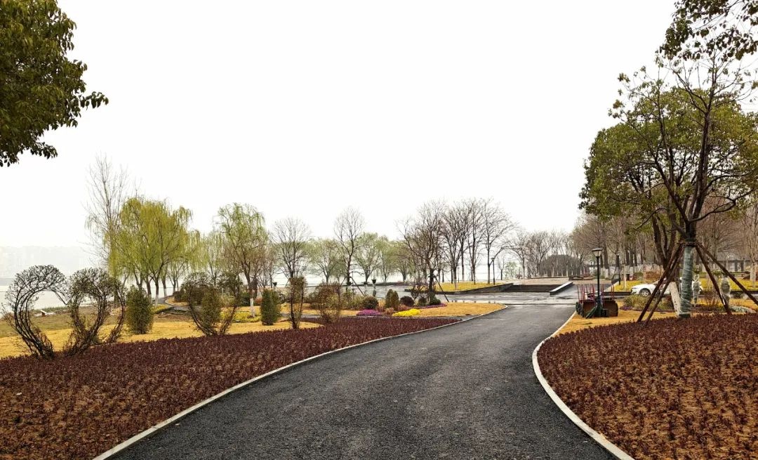 2025武汉世界花园大会即将开幕，你准备好迎接这场花卉盛宴了吗？  第3张