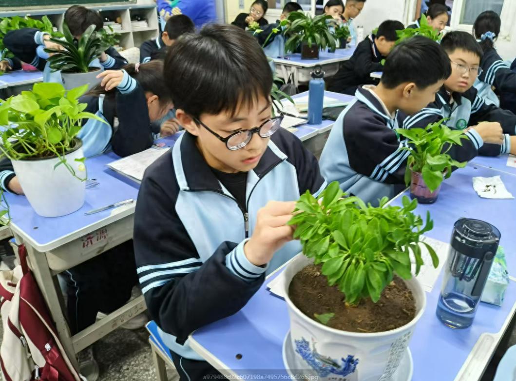 绿植与书香如何助力青春远航？沁园中学的教室竟如此生机盎然