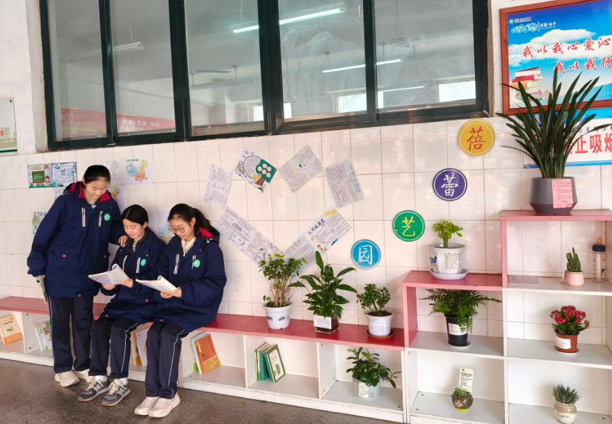 绿植与书香如何助力青春远航？沁园中学的教室竟如此生机盎然  第2张