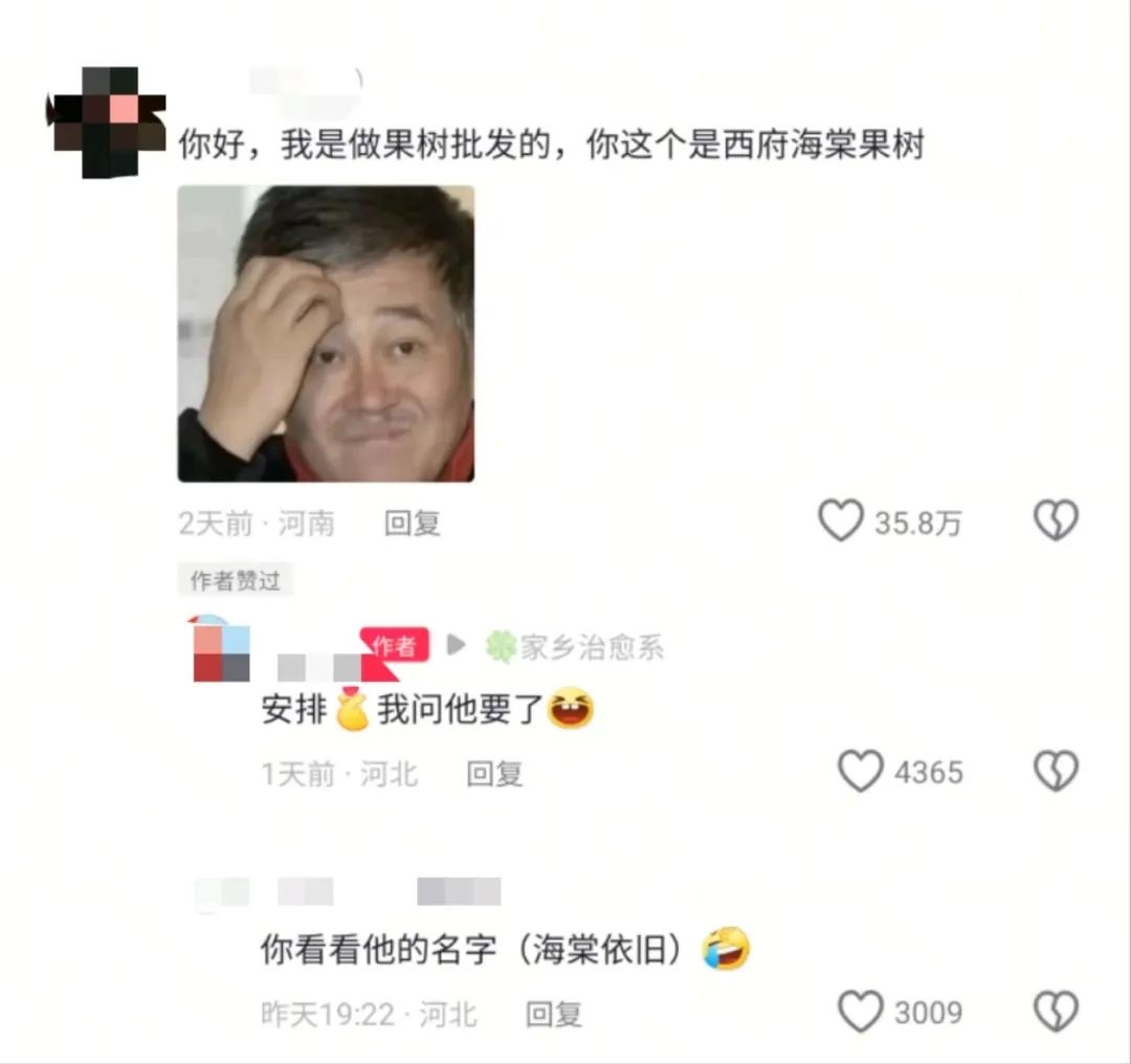 连续5年种错树苗，徐女士的车厘子为何总变海棠果？  第3张