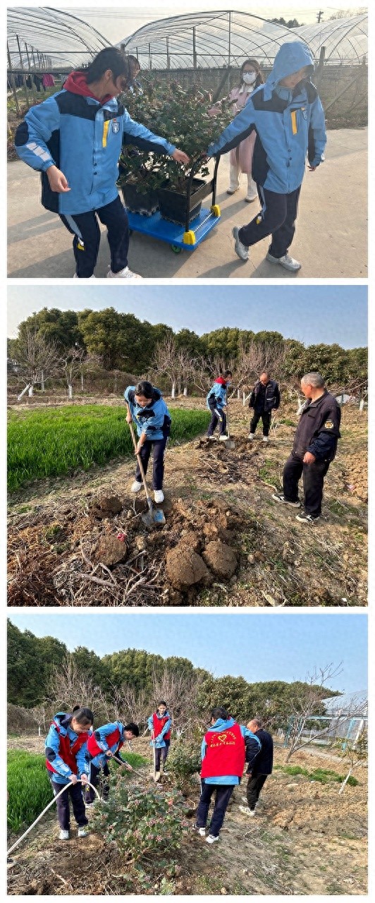 青春与希望共植蓝莓，梅村高中空港分校与残疾人之家携手共创绿色奇迹