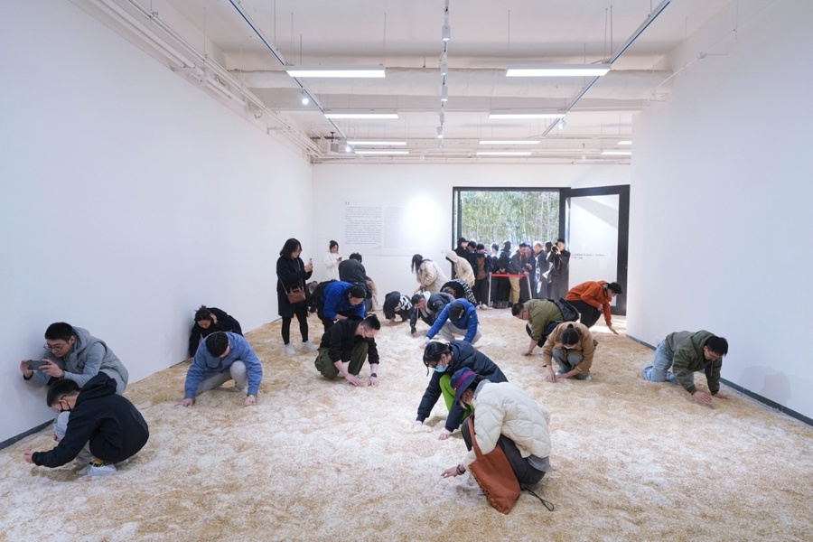 淘金米行为艺术展：黄金与大米，你珍视哪个?