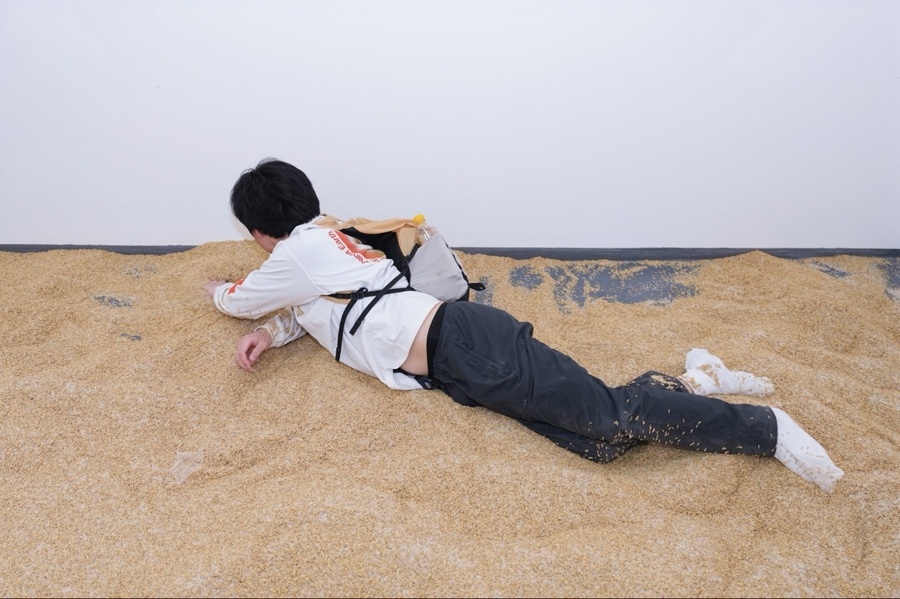 淘金米行为艺术展：黄金与大米，你珍视哪个?  第3张