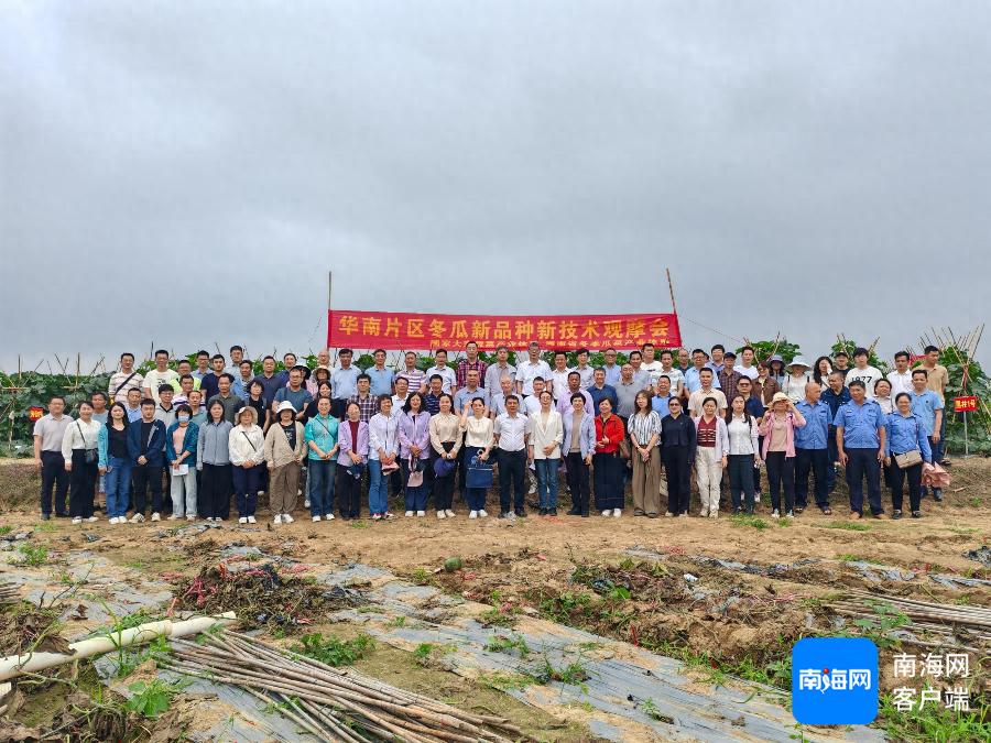 冬种蔬菜产业面临重大挑战！七大产区专家共商解决之道，你的餐桌会受影响吗？