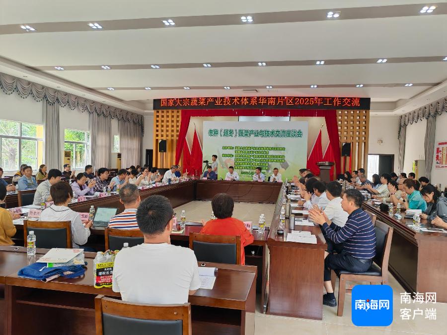 冬种蔬菜产业面临重大挑战！七大产区专家共商解决之道，你的餐桌会受影响吗？  第2张