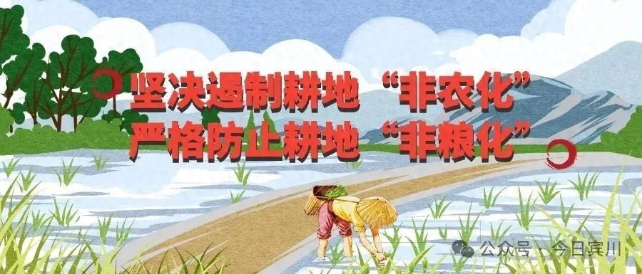 县长高云磊亲临电网建设一线，为何这些项目如此重要？