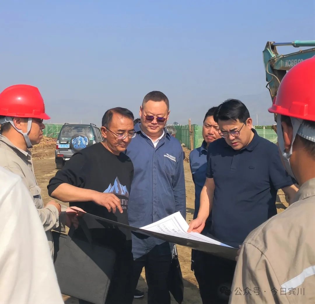 县长高云磊亲临电网建设一线，为何这些项目如此重要？  第3张