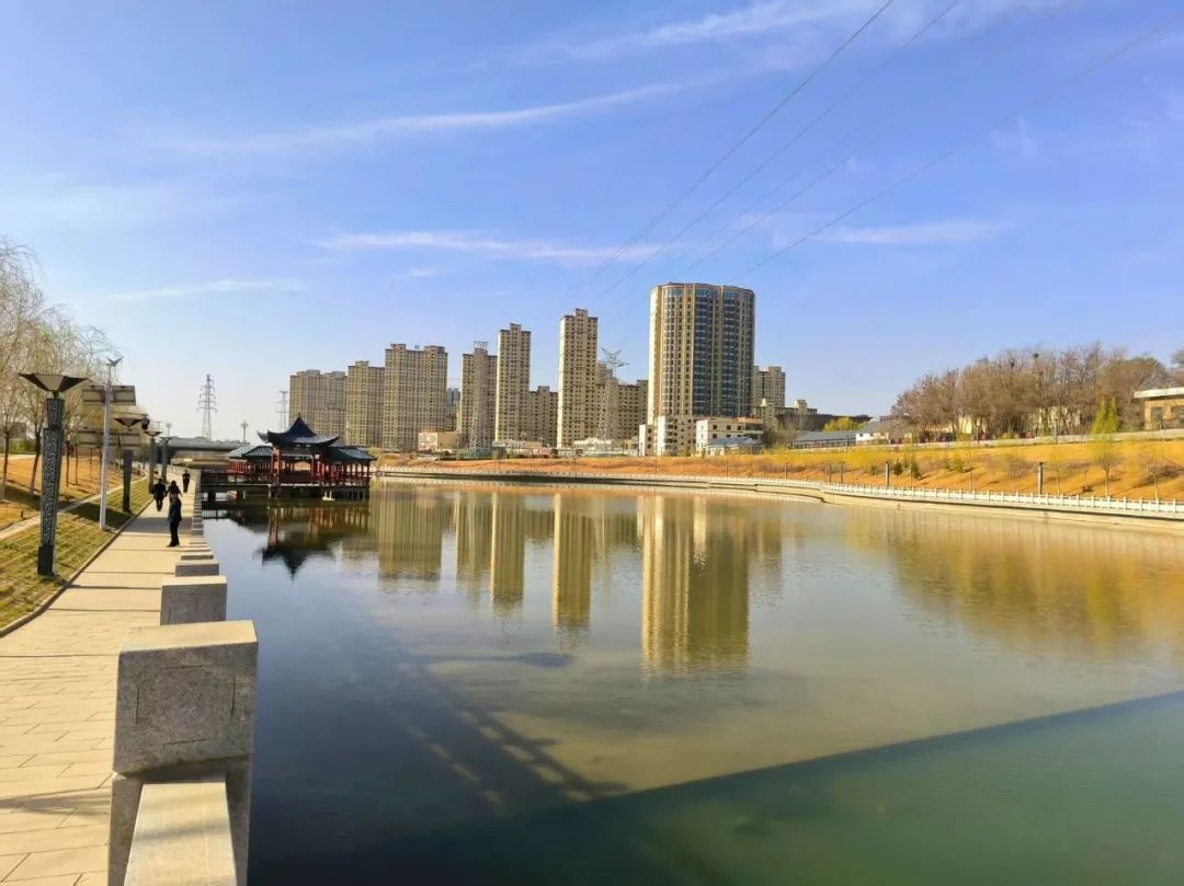 金沟河畔春意浓，市民为何纷纷驻足？原来这里藏着城市最美春天  第3张