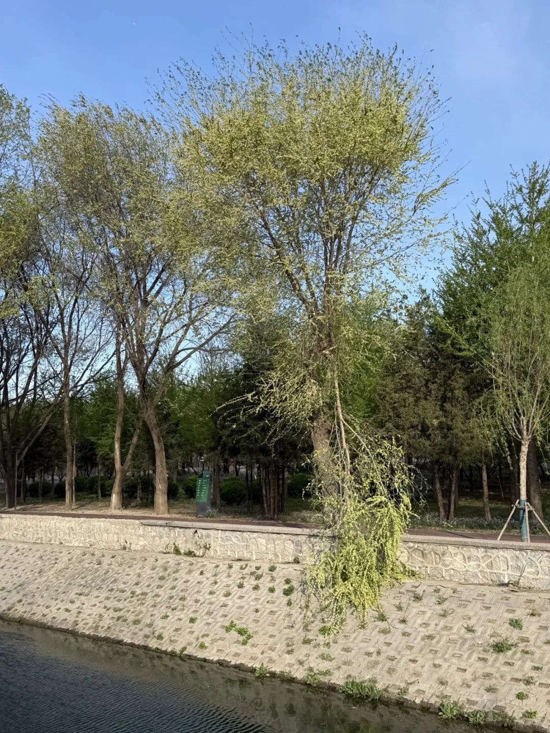 最强冷空气来袭！北京今日风力达13级以上，你准备好了吗？  第6张