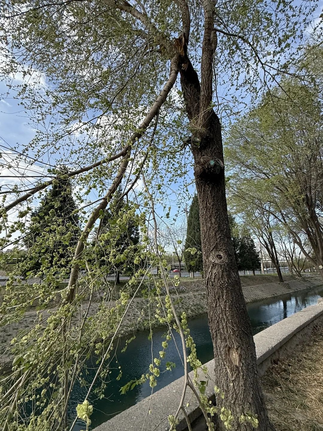 最强冷空气来袭！北京今日风力达13级以上，你准备好了吗？  第7张