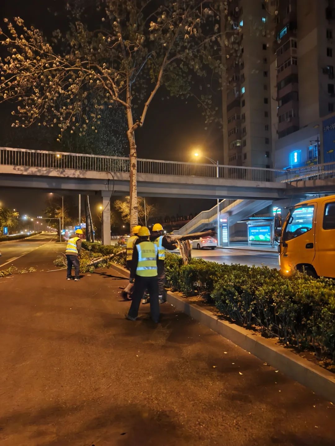 北京13区10级以上大风来袭！你准备好应对这场罕见风暴了吗？  第3张