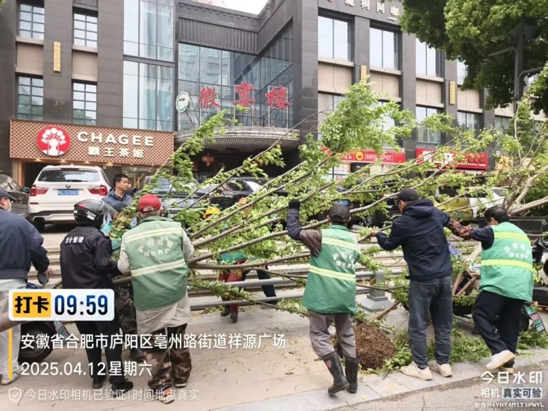 4月11日全市暴雨来袭！区城管局300人应急队伍全力守护城市安全，你知道咋做到的？  第8张