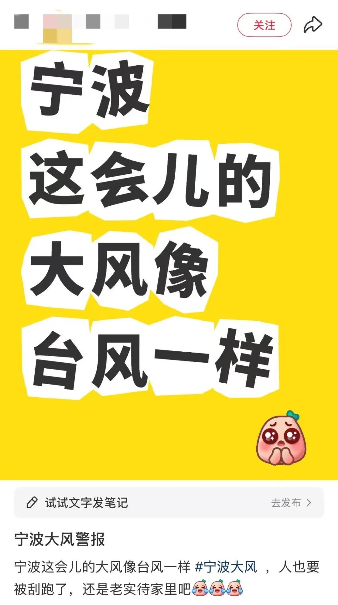 宁波大风红色预警！窗户都要被吹烂了，你准备好了吗？  第8张