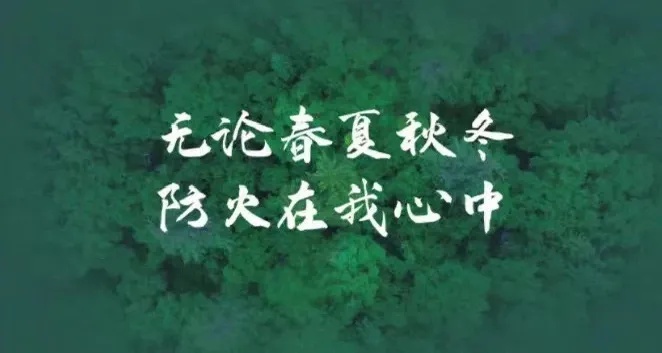壤塘县岗木达镇120余人参与地灾演练，守护群众安全防线，你知道有多有效吗  第4张