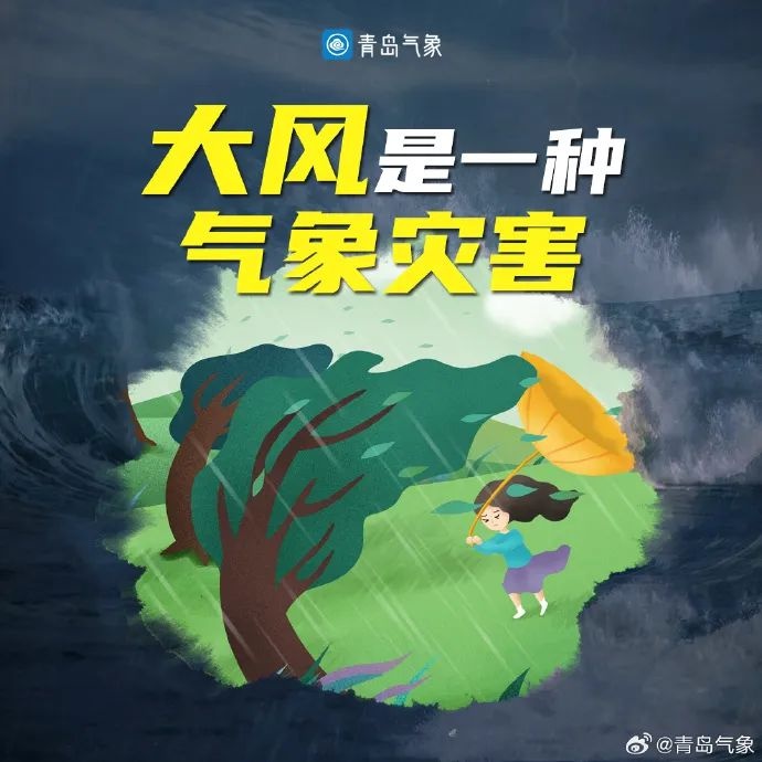 强冷空气来袭！华北局地或现13级阵风，济南大风肆虐，这风到底何时停？  第6张
