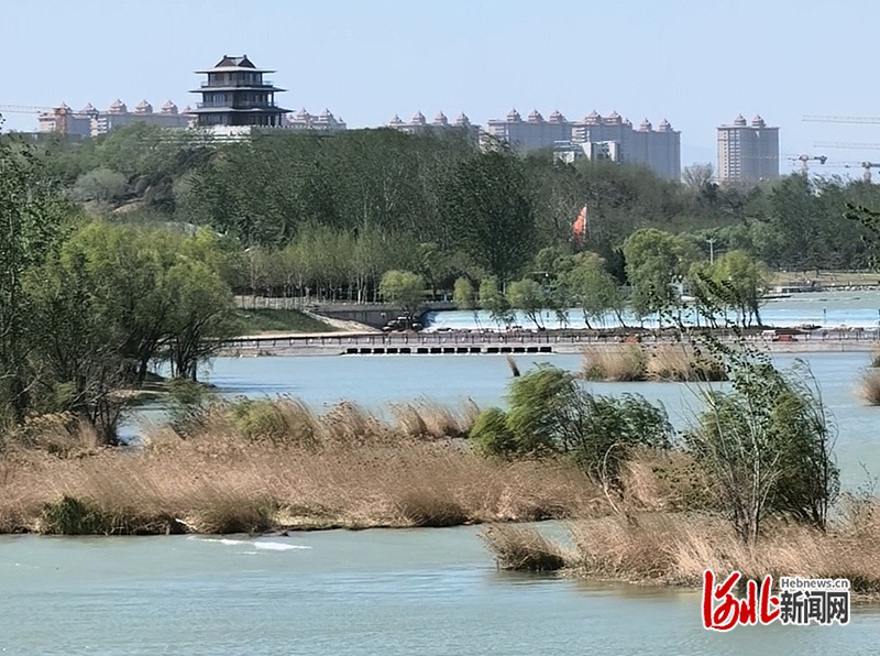 河北首次发布大风红色预警，石家庄一夜狂风后情况咋样？8800余人紧急出动  第2张