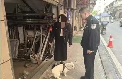 大冶警方曝光不文明养犬行为！遛狗不牵绳者究竟该如何引以为戒？  第8张