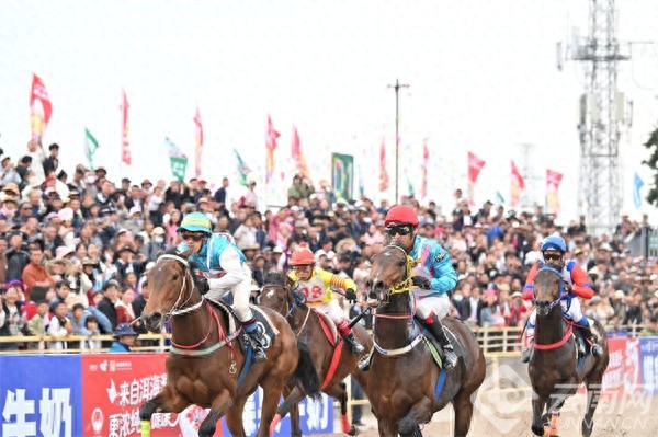 2025大理三月街赛马大会：90匹骏马巅峰对决，谁将问鼎苍洱之巅？  第1张