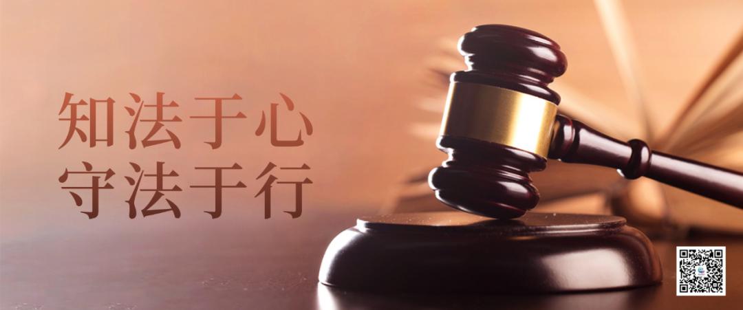 哇！4月10日起西双版纳至丽江复兴号开通，8小时45分朝发夕至不香吗？  第5张