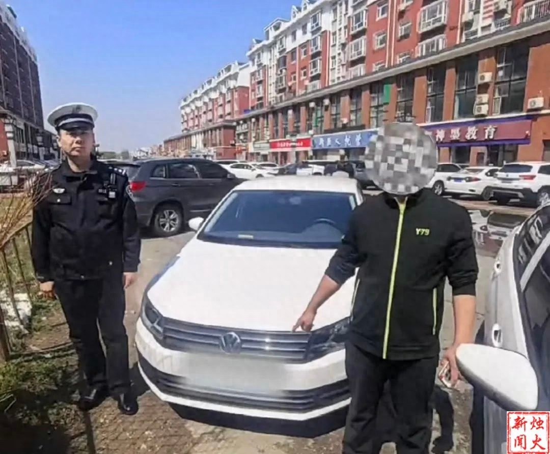 车辆密集路段开车牵马遛羊？这是任性还是无知
