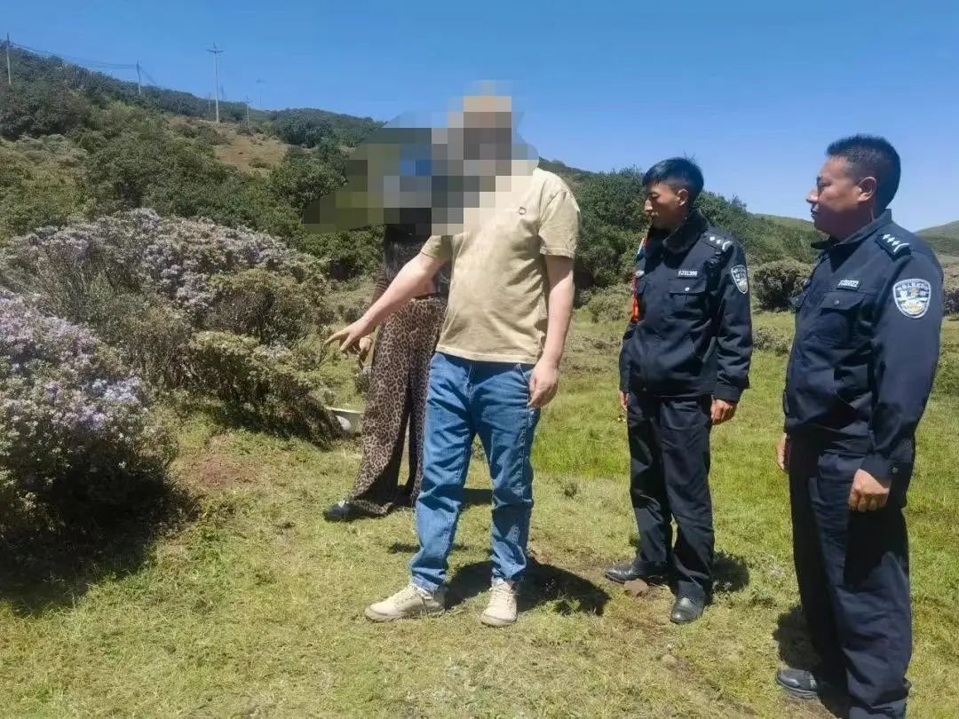 四川凉山两人盗挖野生索玛花！如此不文明行为该咋罚？  第2张
