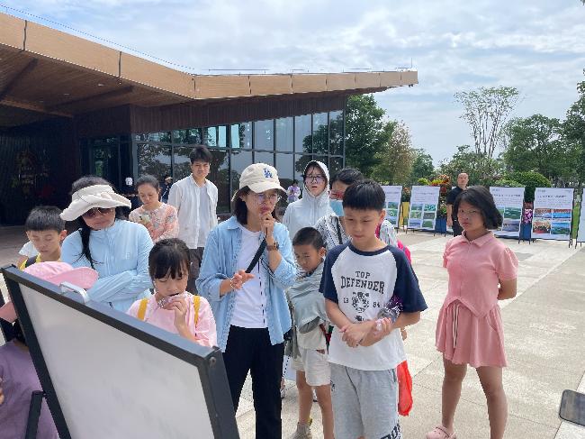 5月11日东莞站红树林巡展！20组亲子家庭开启的特别旅程？  第3张