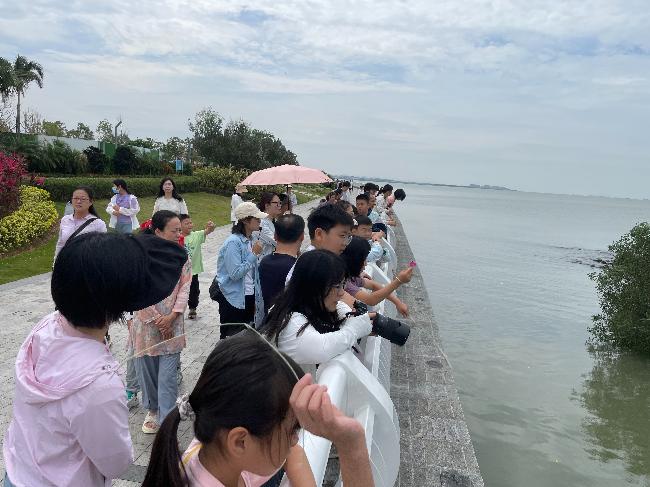 5月11日东莞站红树林巡展！20组亲子家庭开启的特别旅程？  第4张