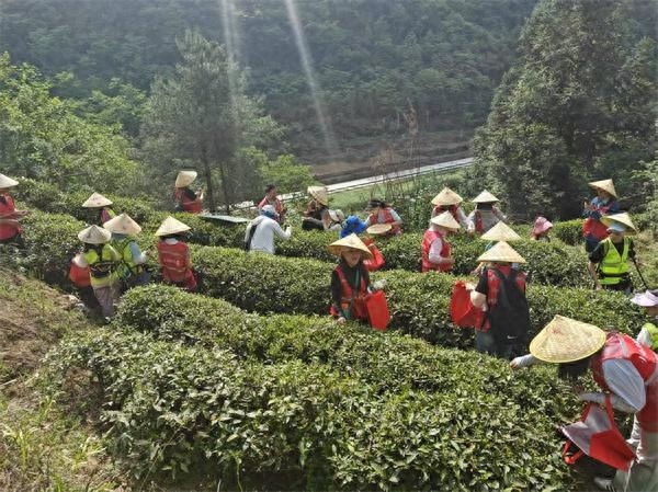 五一假期小南海镇凭啥吸引700余游客？特色项目探秘