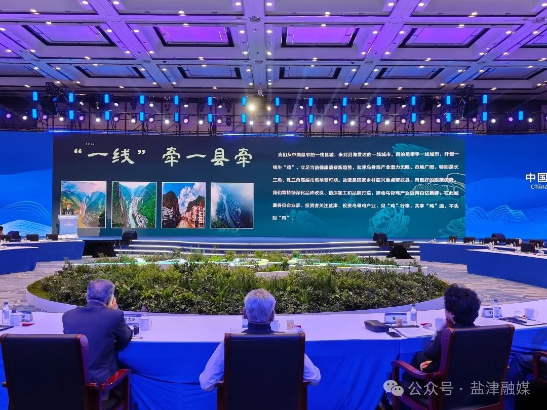 5月11日盐津乌骨鸡获地标名品授牌，这一殊荣背后有何重大商机？  第3张