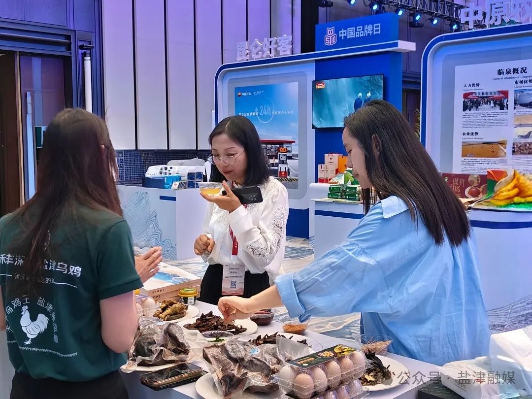 5月11日盐津乌骨鸡获地标名品授牌，这一殊荣背后有何重大商机？  第5张